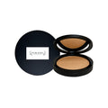 Luminizing Powder